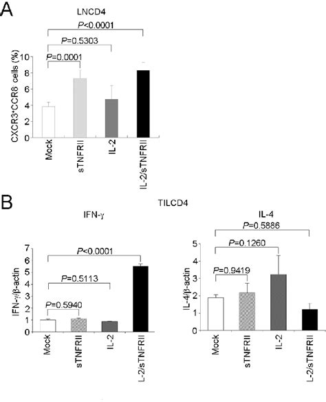 Analysis Of T Cells In The Draining Lymph Node Dln And Infiltration