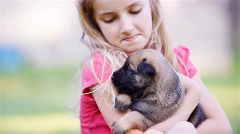 Are Belgian Malinois Good With Kids What Parents Need To Know Moms