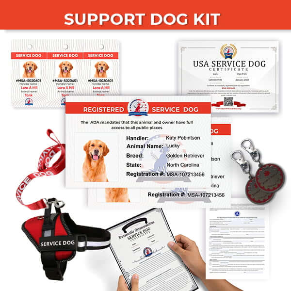 Service Dogs Paperwork Required