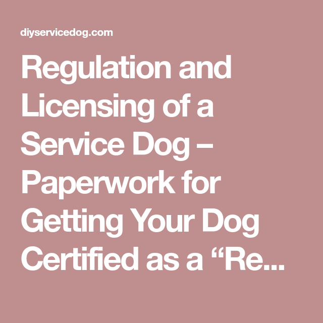 Service Dog Paperwork Requirements