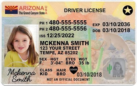 Arizona Mvd Recommends 12 Id Cards For Kids Williams Grand Canyon