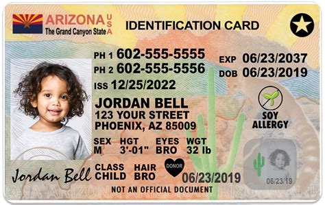 Arizona State Id Card