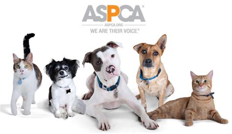 Aspca