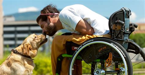 Assistance Dogs For The Disabled Sunrise Medical