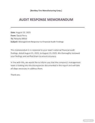 Audit Memo 17 Examples Format Pdf