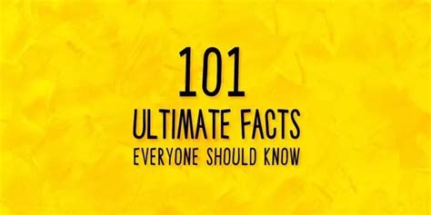 Bankruptcy 101 The Facts Everyone Should Know