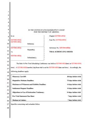 Bankruptcy Scheduling Order Form Fill And Sign Printable Template Online