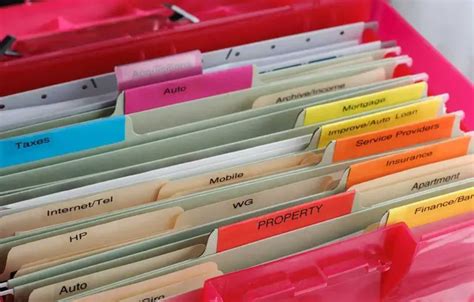 Beginners Guide To Organizing Important Documents At Home Organize