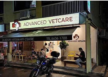 Best Vet Clinics In Bedok For An Advanced Pet Care