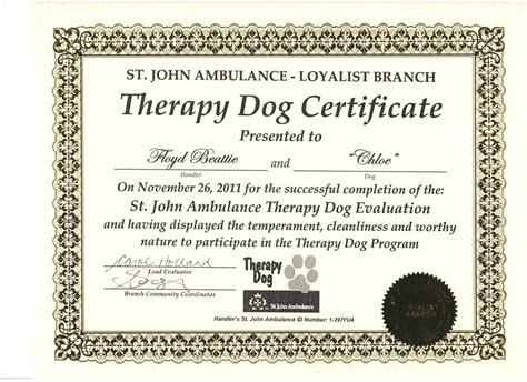 Blank Free Printable Service Dog Certificate