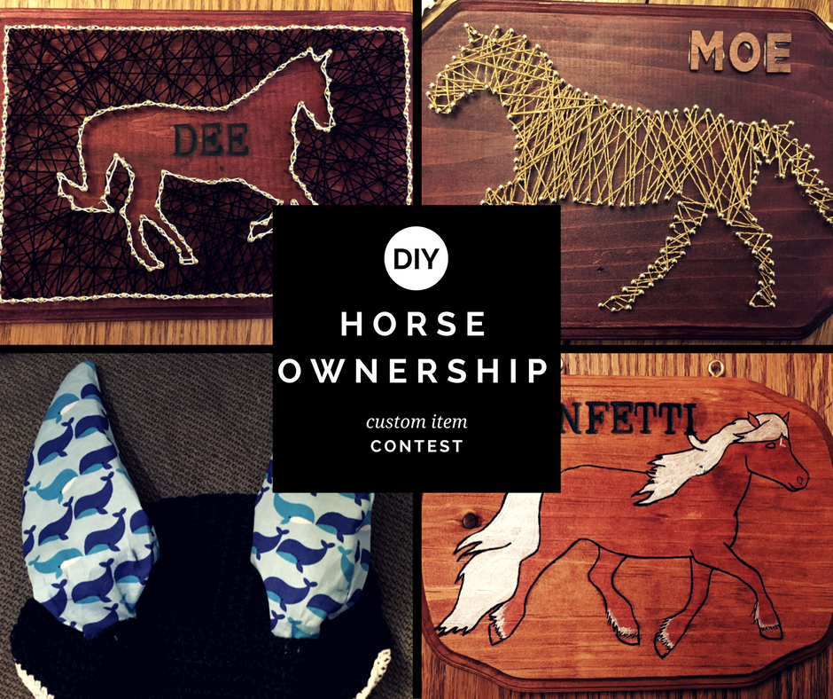 Blog Contest Winners Diy Horse Ownership