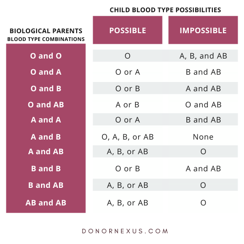 Blood Type Chart What Are The Different Blood Types