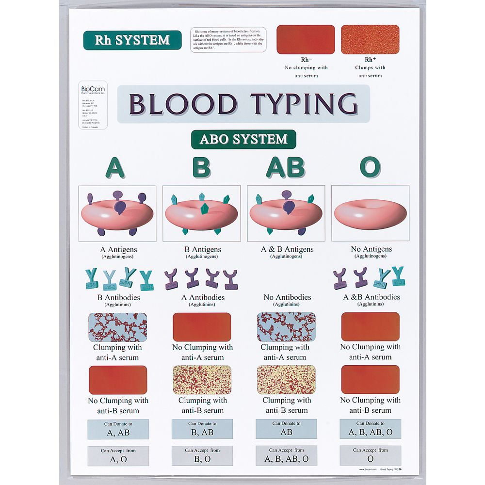 Blood Typing