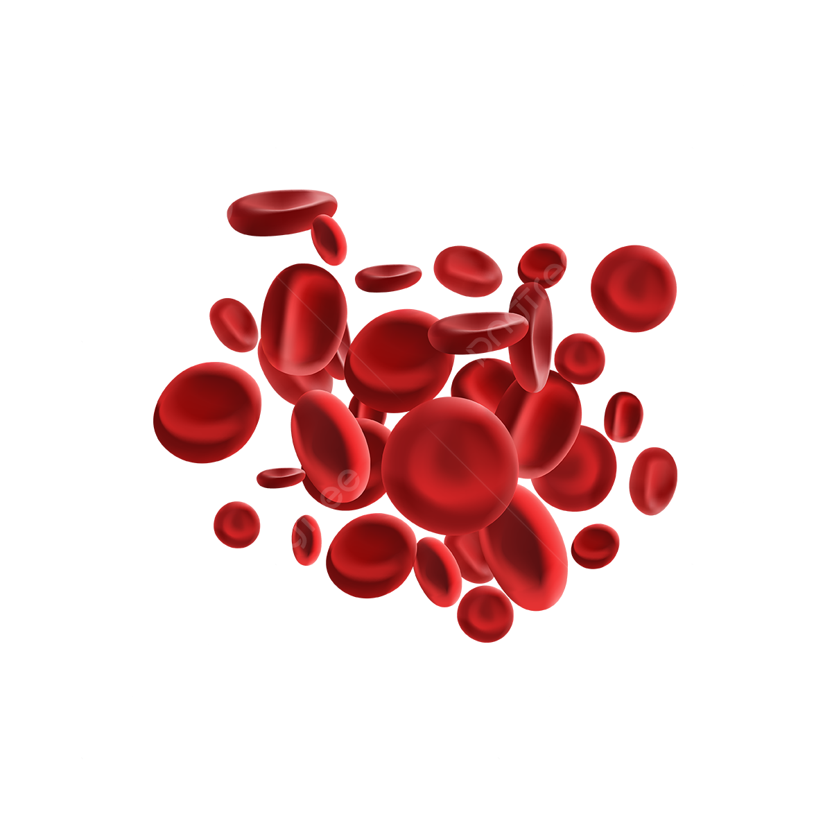 Blood Vector Illustration On Transparent Background Stock Vector The Best Porn Website