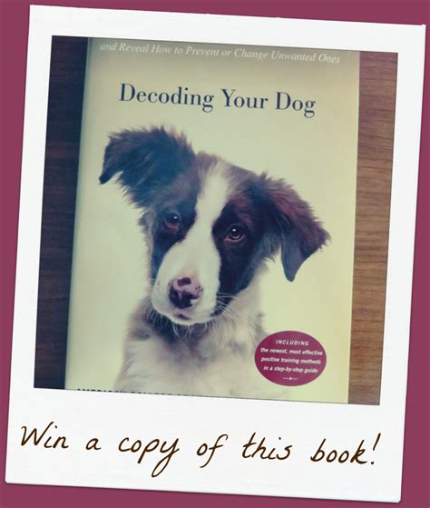 Book Giveaway Decoding Your Dog Stale Cheerios