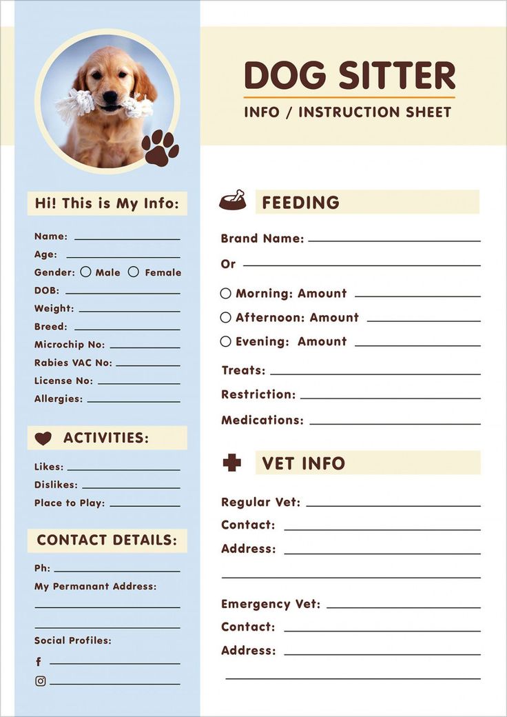 Browse Our Example Of Pet Sitter Checklist Template For Free Pet