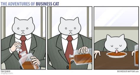 Business Cat Imgflip