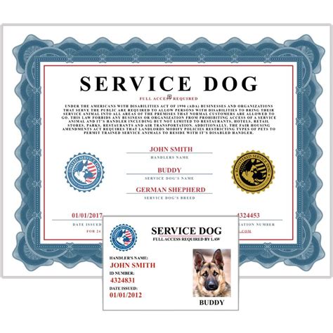 Airbnb Service Dog Paperwork Requirements