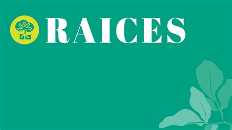 Can Amp 39 T Afford To Renew Daca Raices Has Re Opened Applications For Their Daca Scholarship That