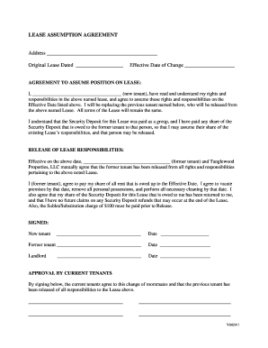 Infinity Dealership Lease Assumption Paperwork