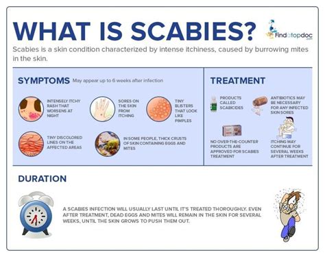 5 Ways Scabies Spreads