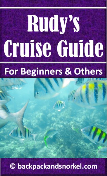 Can Service Dogs Go On A Cruise A Guide For Beginners