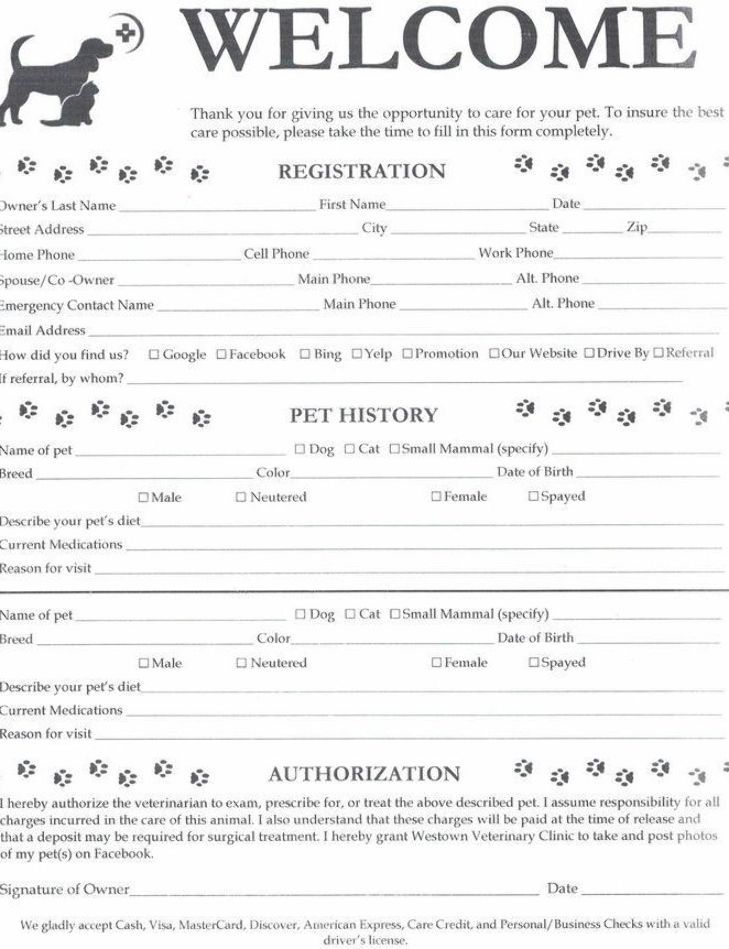 5 Service Dog Paperwork Tips