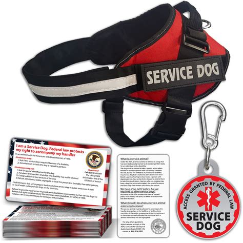 Can Stores Deny Service Dogs