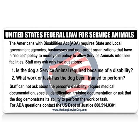 5 Tips Service Dog