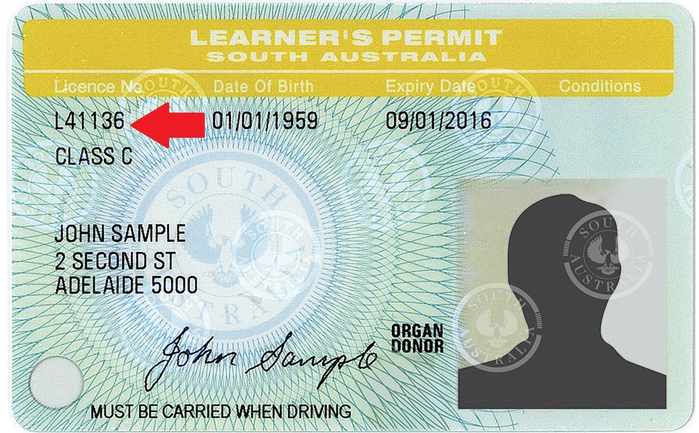 Can You Fly With A Learners Permit 2024 Jacky Liliane