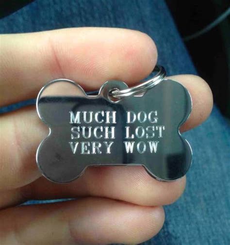 Can You Replace Lost Dog Tags