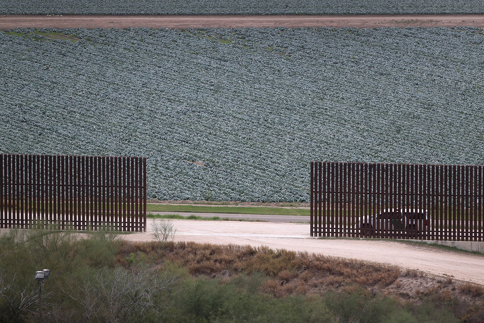 Can You Walk Across The Mexican Border Without A Passport Go Lottle