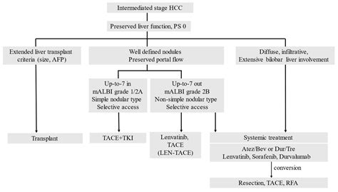 Cancers Free Full Text Treatment Strategy For Intermediate Stage