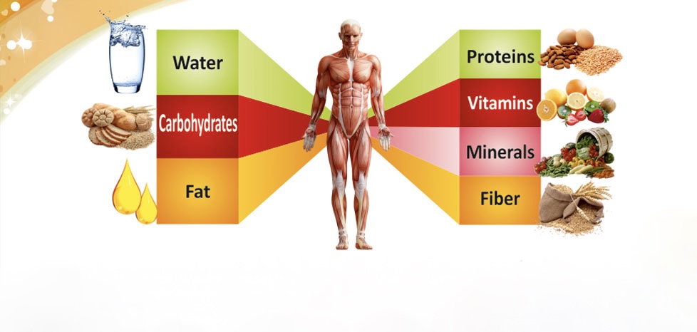 Capovelo Com Seven Nutrients Important For Mental Health And Where