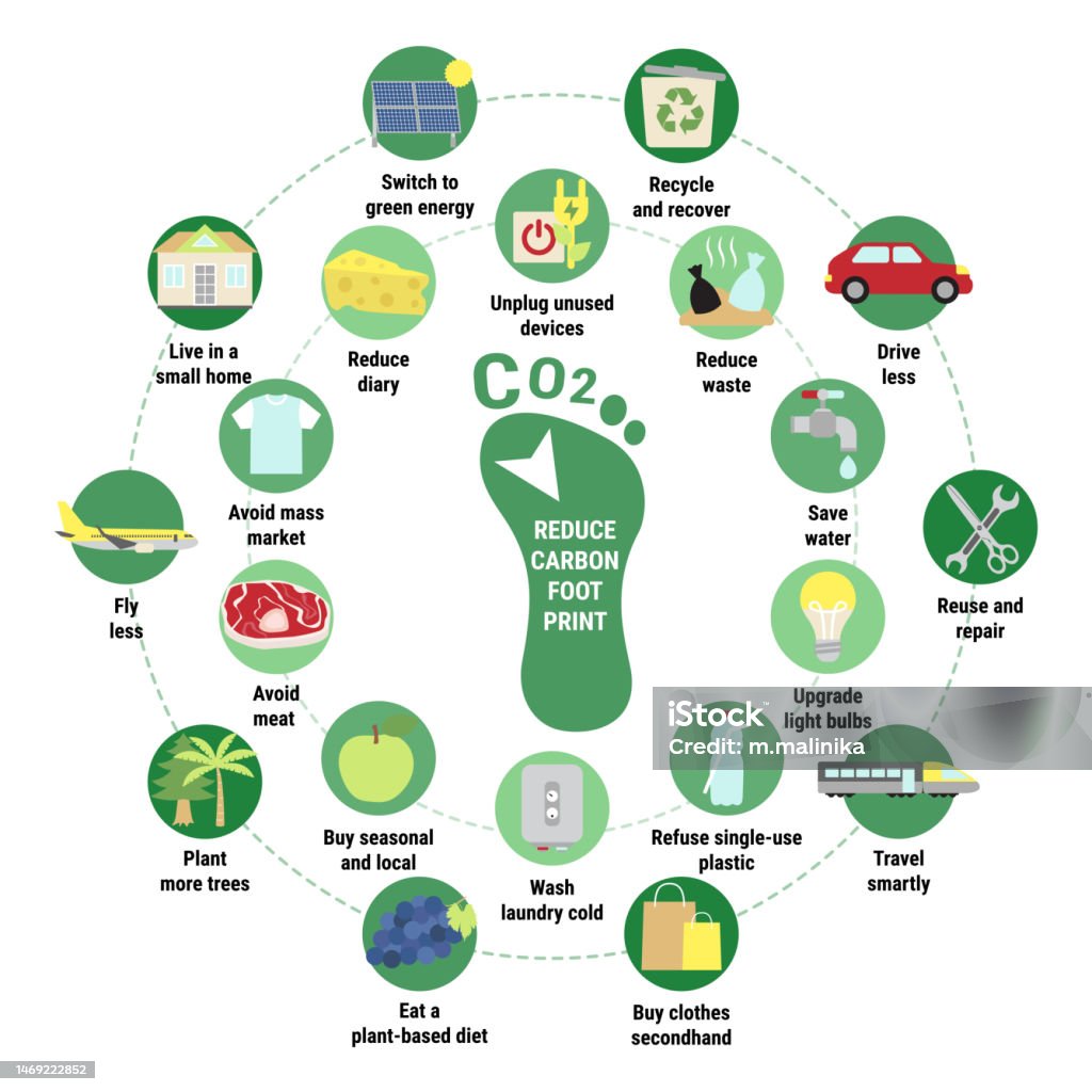 Carbon Footprint Infographic Tips For Reducing Your Personal Carbon