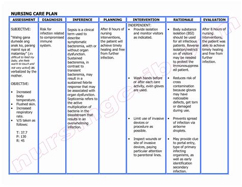 Care Plan Paperwork 2 Nursing Diagnosis Version 3 Docx Student Date