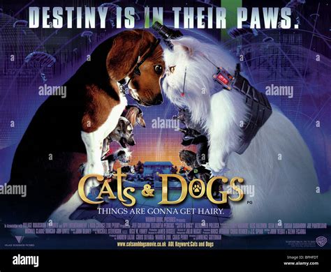 Cats And Dogs Film High Resolution Stock Photography And Images Alamy