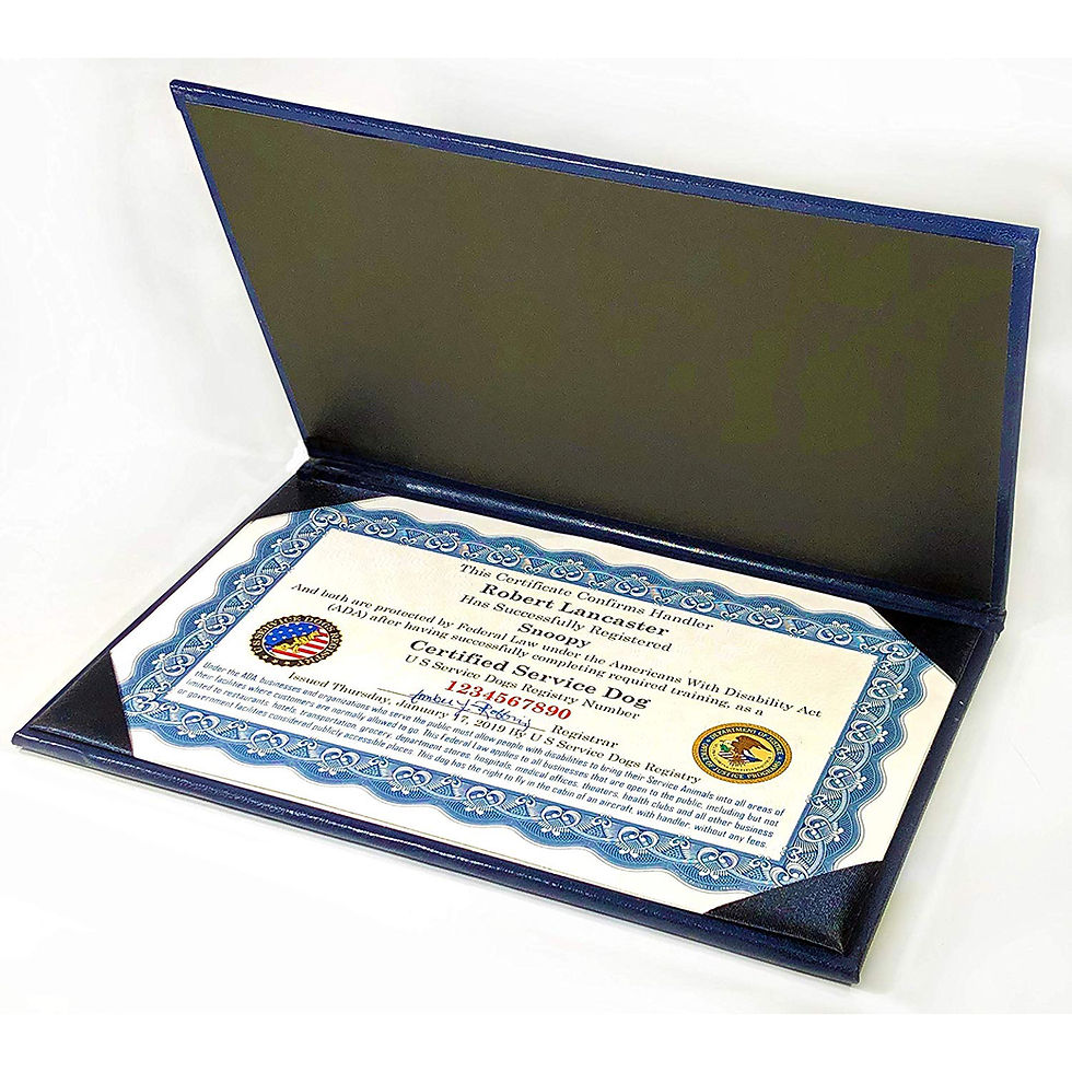 Certified Service Dog Certificate With Presentation Folder Us Service