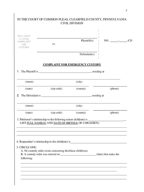 Child Custody Application Form Pa Fill Out Amp Sign Online Dochub