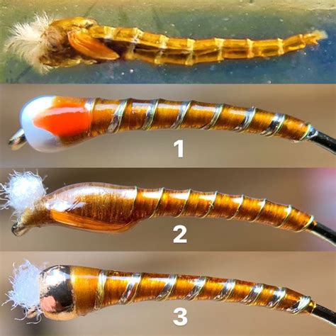 Chironomid Pupa Fly Tying Tips Fly Tying Fly Tying Patterns Fly Fishing Tips