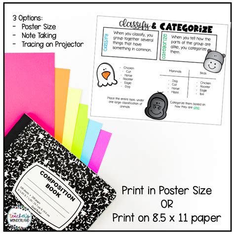 Classify Amp Categorize Anchor Chart A Teacher Amp 39 S Wonderland