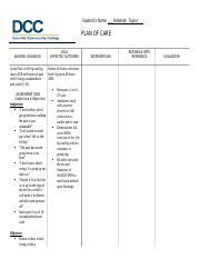 Clinical Day 5 Paperwork Care Plan Acute Pain Priority Diagnosis Docx