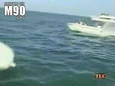 Coast Guard Boarding My Boat Youtube