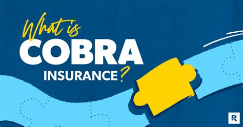 Cobra Insurance