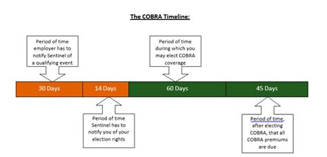 Cobra Paperwork Timeline