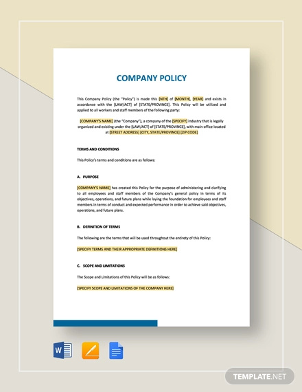 Company Policy 21 Examples Format Pdf