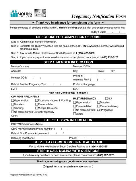 Consent 2013 2024 Form Fill Out And Sign Printable Pdf Template Airslate Signnow