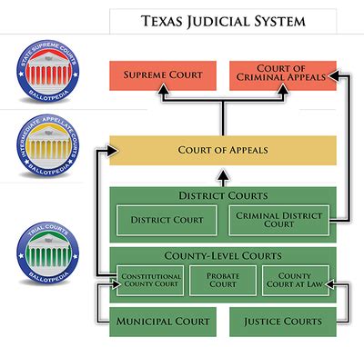 Court Organization Texas Government