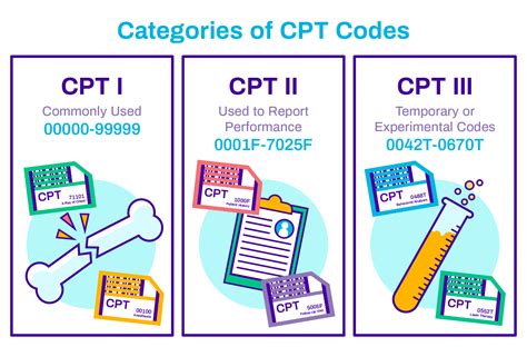 Cpt Codes For 2024 Image To U