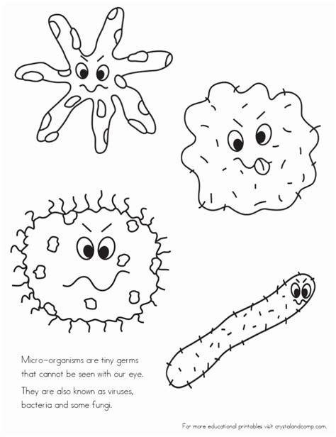 Create Your 30 Simply Germs Worksheets For Kindergarten Simple